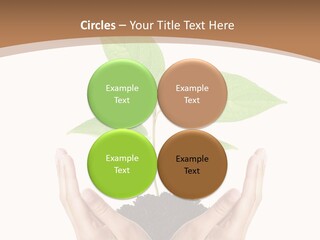 Stem Responsibility Growth PowerPoint Template