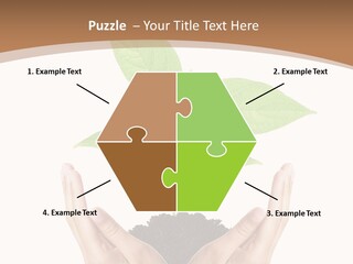 Stem Responsibility Growth PowerPoint Template