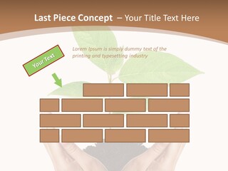 Stem Responsibility Growth PowerPoint Template