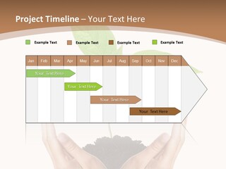 Stem Responsibility Growth PowerPoint Template