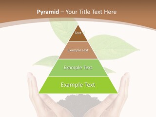 Stem Responsibility Growth PowerPoint Template