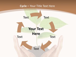 Stem Responsibility Growth PowerPoint Template