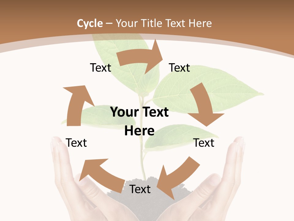 Stem Responsibility Growth PowerPoint Template