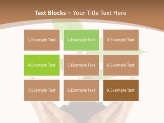 Stem Responsibility Growth PowerPoint Template