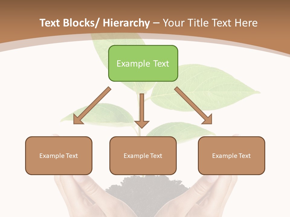 Stem Responsibility Growth PowerPoint Template