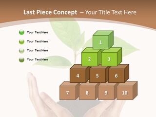 Stem Responsibility Growth PowerPoint Template