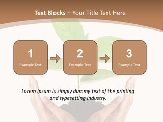 Stem Responsibility Growth PowerPoint Template