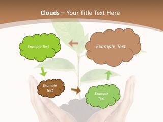 Stem Responsibility Growth PowerPoint Template