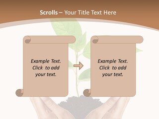 Stem Responsibility Growth PowerPoint Template