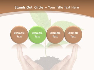 Stem Responsibility Growth PowerPoint Template
