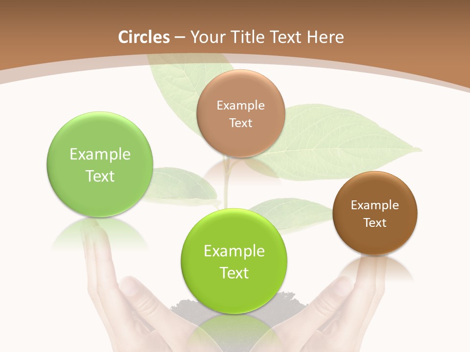 Stem Responsibility Growth PowerPoint Template
