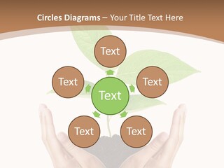Stem Responsibility Growth PowerPoint Template