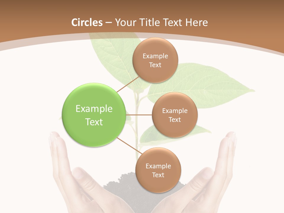 Stem Responsibility Growth PowerPoint Template