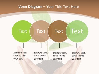 Stem Responsibility Growth PowerPoint Template