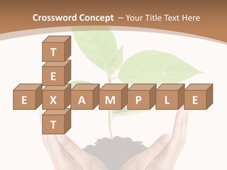 Stem Responsibility Growth PowerPoint Template