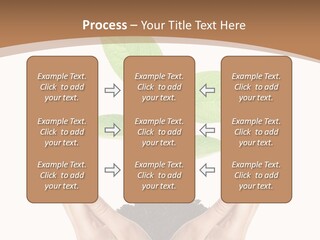 Stem Responsibility Growth PowerPoint Template