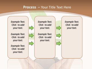 Stem Responsibility Growth PowerPoint Template