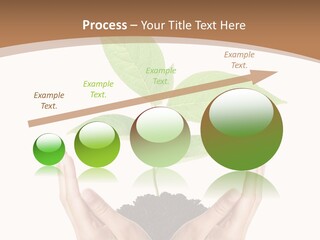 Stem Responsibility Growth PowerPoint Template