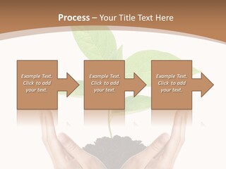 Stem Responsibility Growth PowerPoint Template