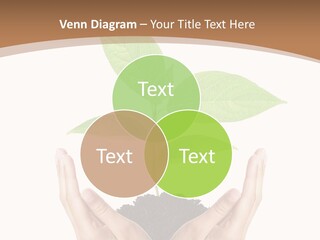 Stem Responsibility Growth PowerPoint Template