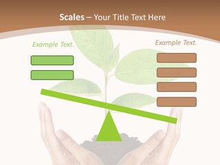Stem Responsibility Growth PowerPoint Template