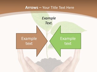 Stem Responsibility Growth PowerPoint Template