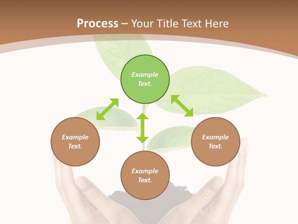 Stem Responsibility Growth PowerPoint Template