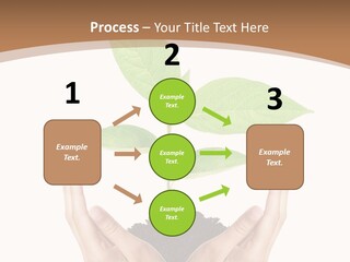 Stem Responsibility Growth PowerPoint Template