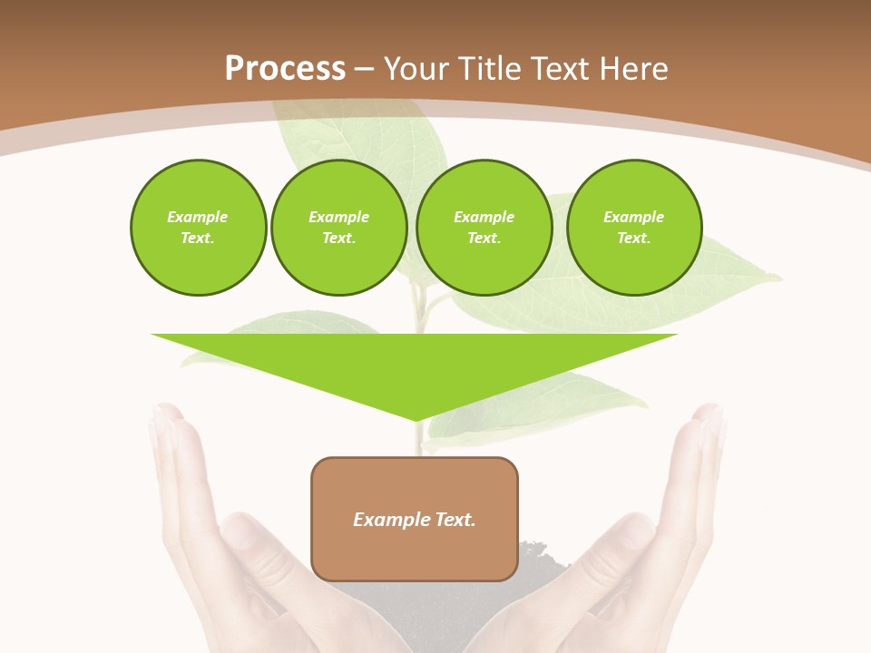 Stem Responsibility Growth PowerPoint Template