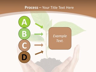 Stem Responsibility Growth PowerPoint Template