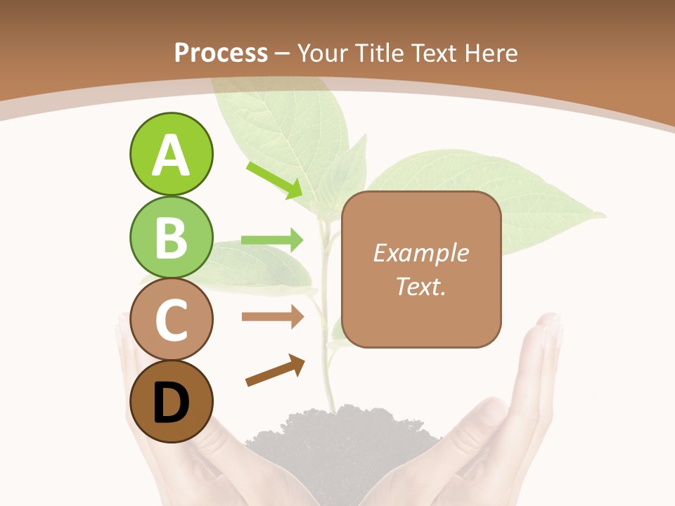 Stem Responsibility Growth PowerPoint Template