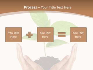 Stem Responsibility Growth PowerPoint Template