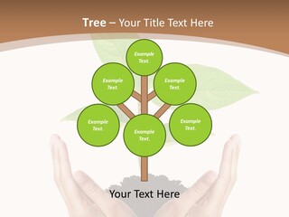 Stem Responsibility Growth PowerPoint Template