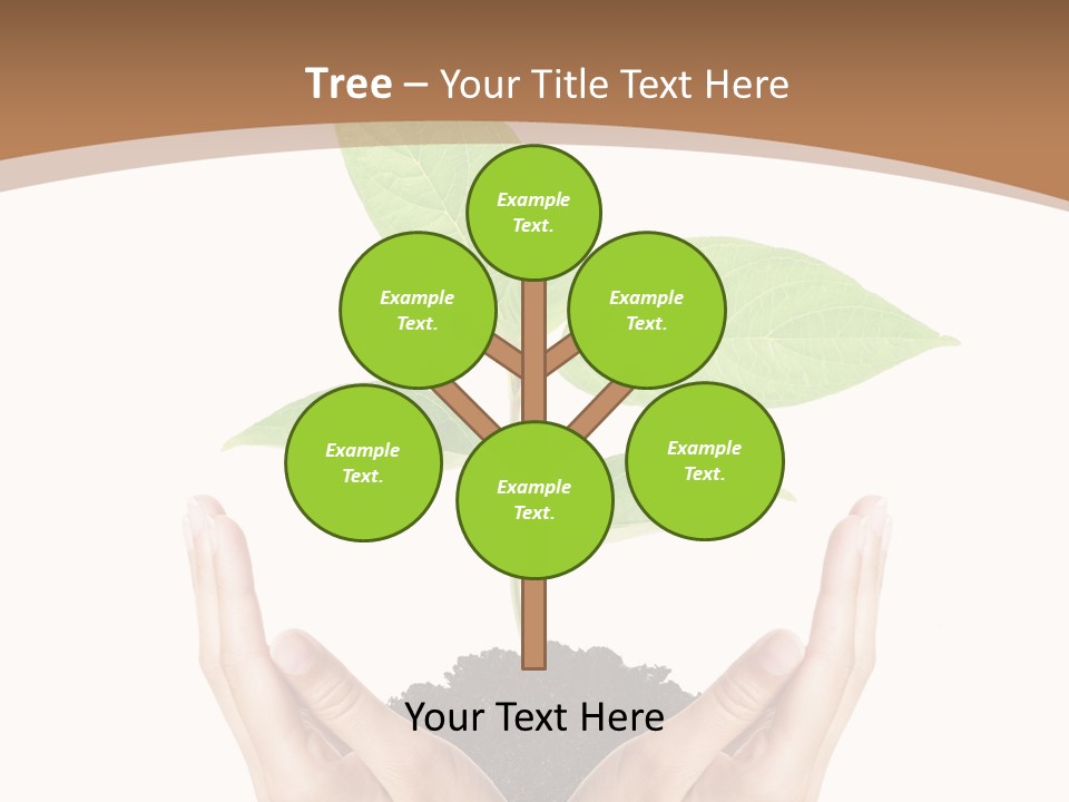 Stem Responsibility Growth PowerPoint Template