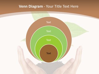 Stem Responsibility Growth PowerPoint Template