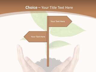 Stem Responsibility Growth PowerPoint Template
