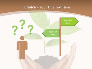 Stem Responsibility Growth PowerPoint Template