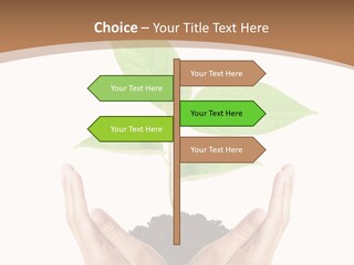 Stem Responsibility Growth PowerPoint Template