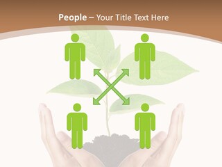 Stem Responsibility Growth PowerPoint Template
