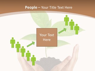 Stem Responsibility Growth PowerPoint Template