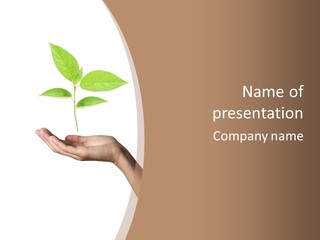 Compost Dirt Ground PowerPoint Template