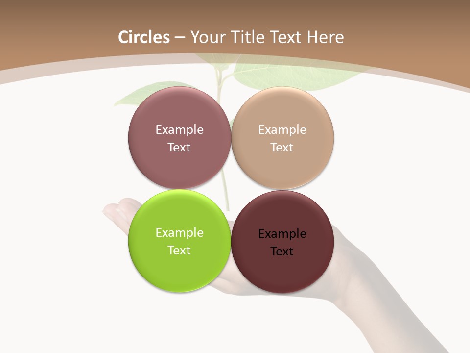 Compost Dirt Ground PowerPoint Template