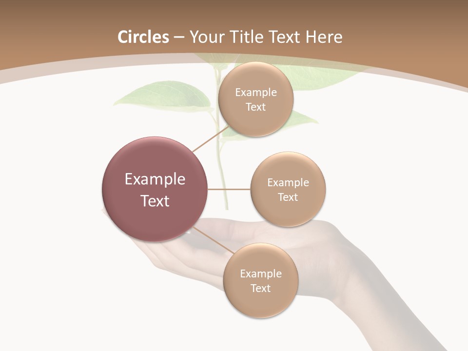 Compost Dirt Ground PowerPoint Template
