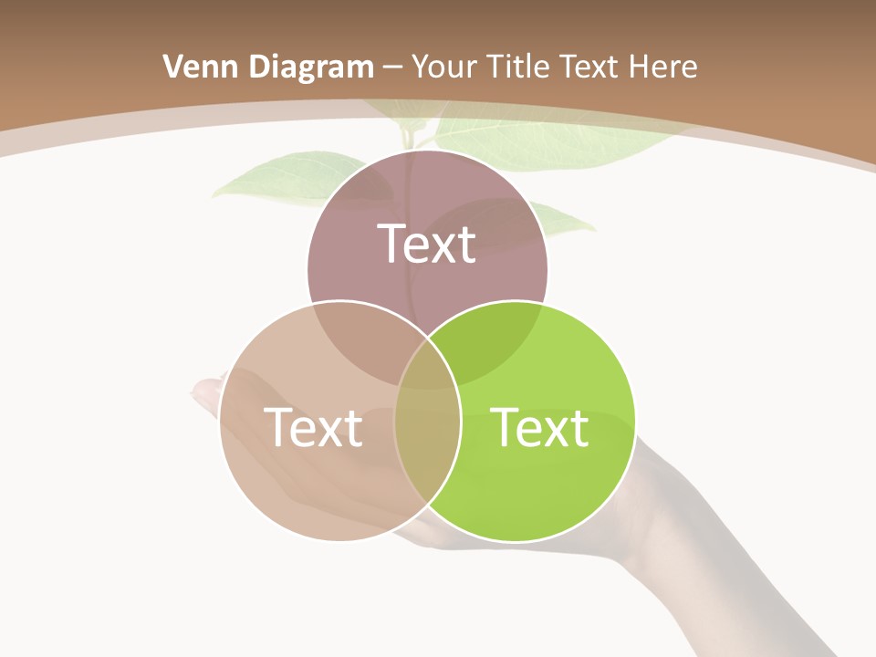 Compost Dirt Ground PowerPoint Template