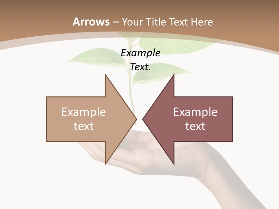 Compost Dirt Ground PowerPoint Template