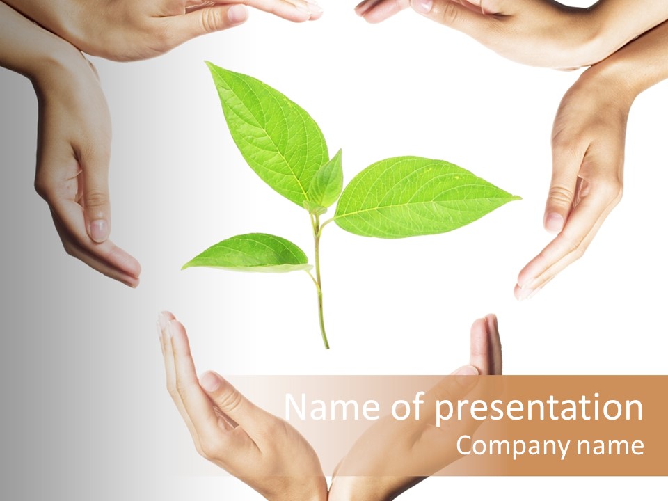 Concept Beginnings People PowerPoint Template