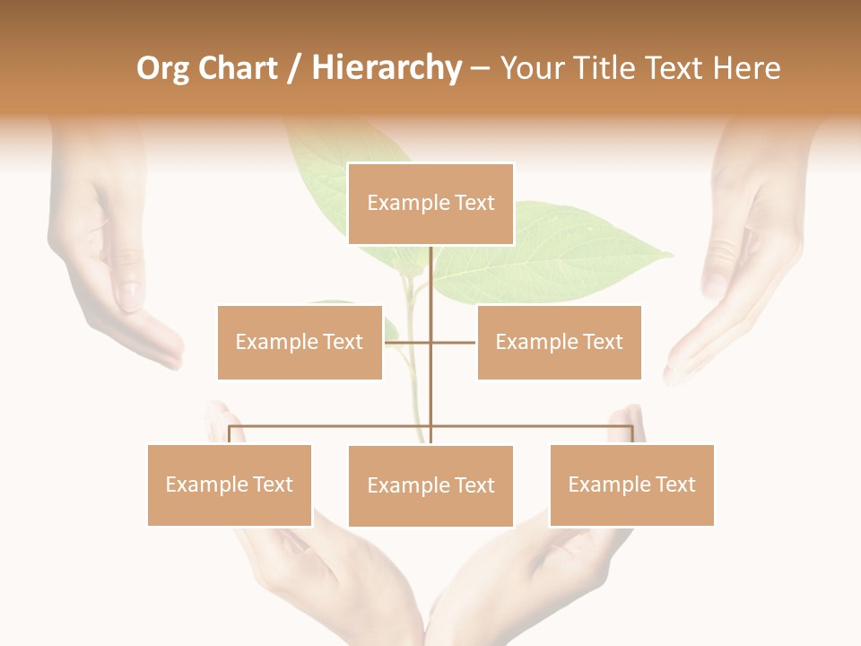 Concept Beginnings People PowerPoint Template