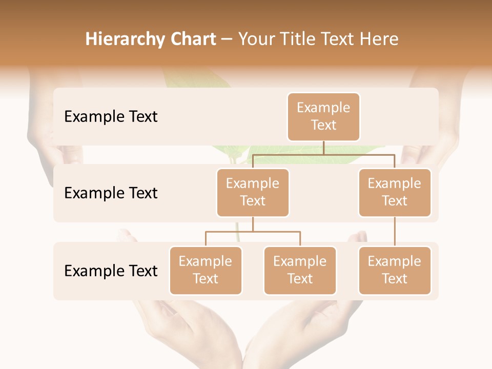 Concept Beginnings People PowerPoint Template