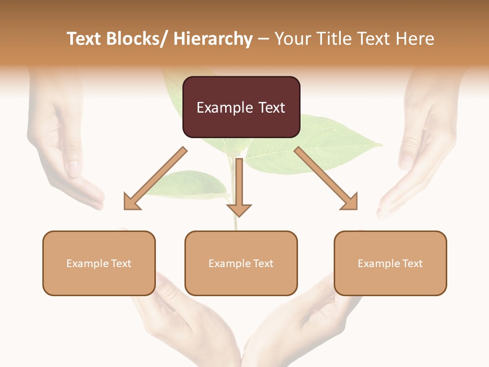 Concept Beginnings People PowerPoint Template