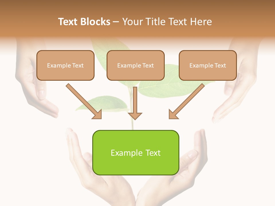 Concept Beginnings People PowerPoint Template